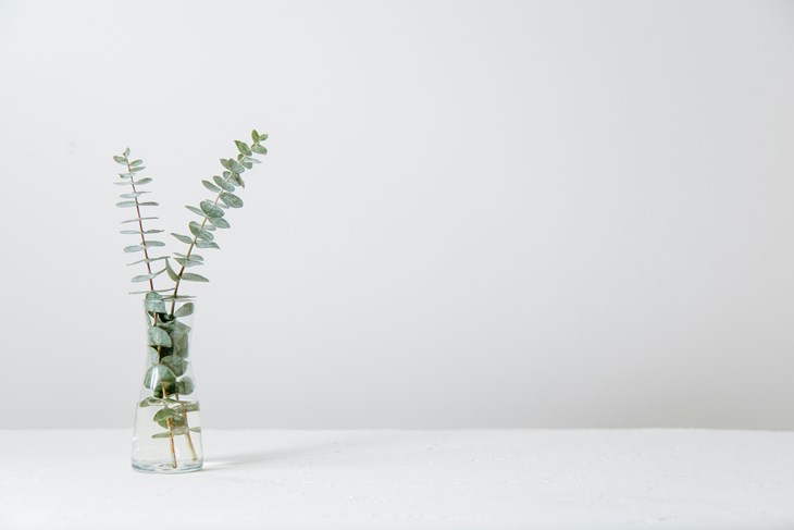 (Unsplash)