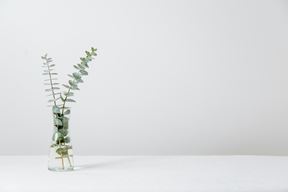 (Unsplash)