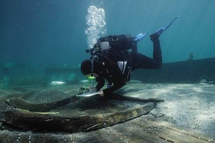 Ilustracija (Arheološki muzej Zadar)