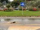 Novigrad (Foto: Istramet)