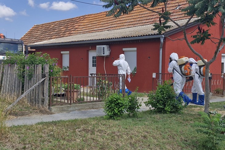 (Snimio Ivica Getto)