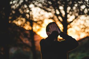 (Unsplash)