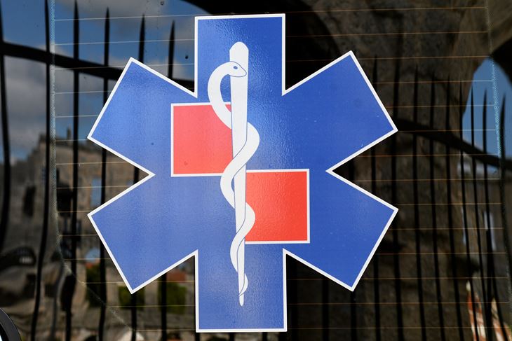 Ilustracija (Snimio MIlivoj Mijošek)