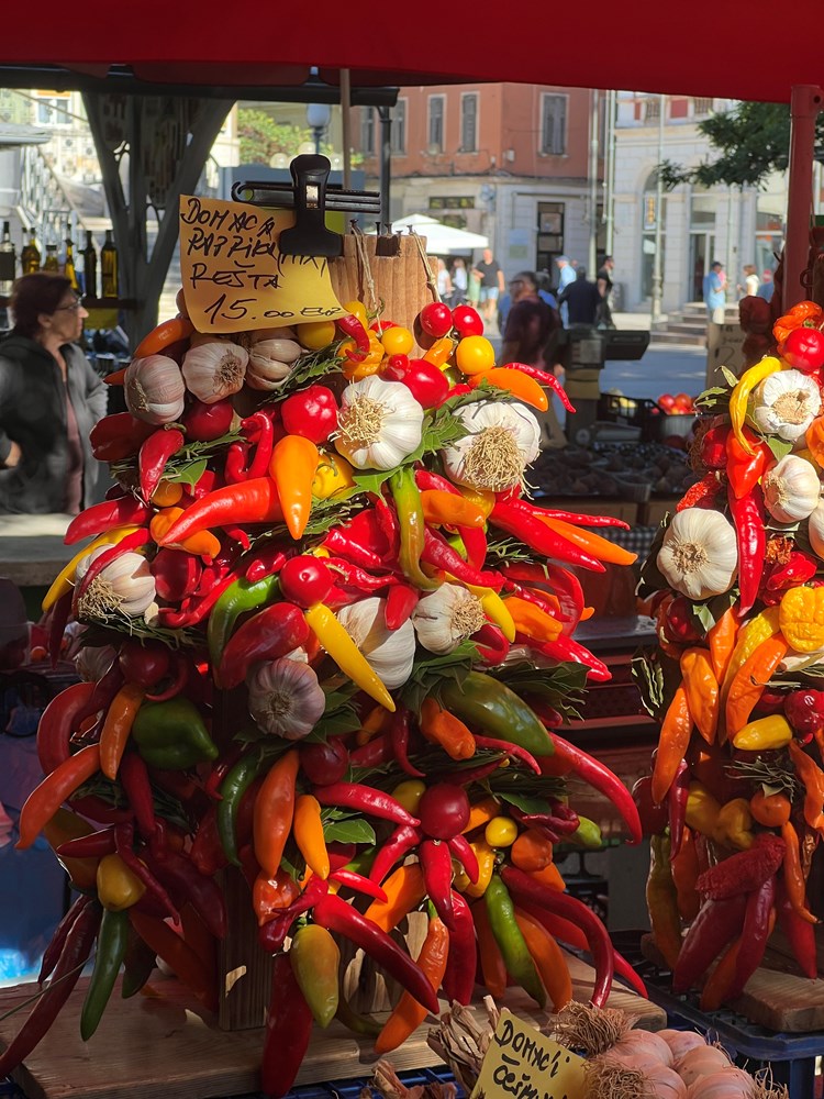 (Foto Doria Mohorović)
