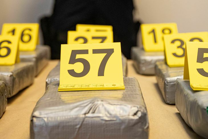 Ilustracija (Snimio Grgo Jelavić/Pixsell)