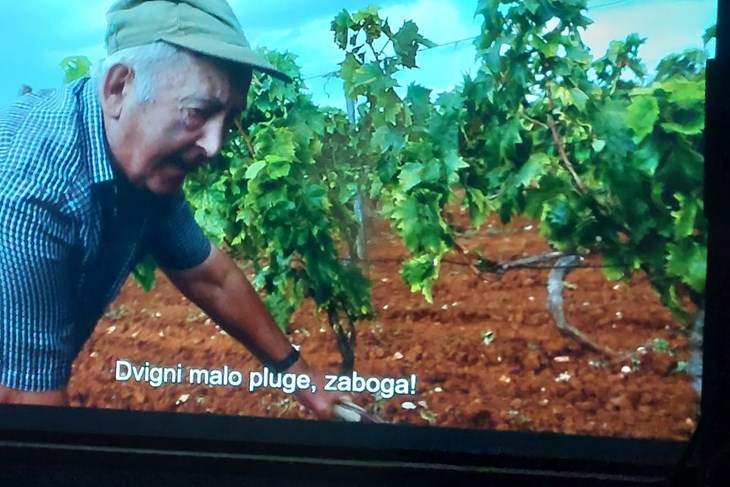 (Foto: IKA)