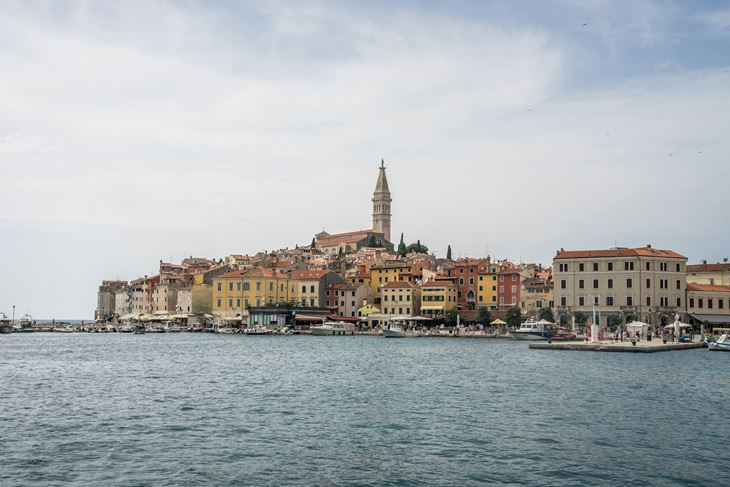 (Photo by Leonhard Niederwimmer on Unsplash)