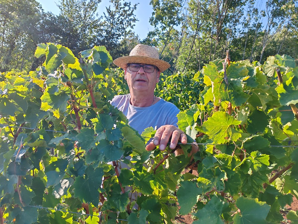 (Snimio Branko Biočić)