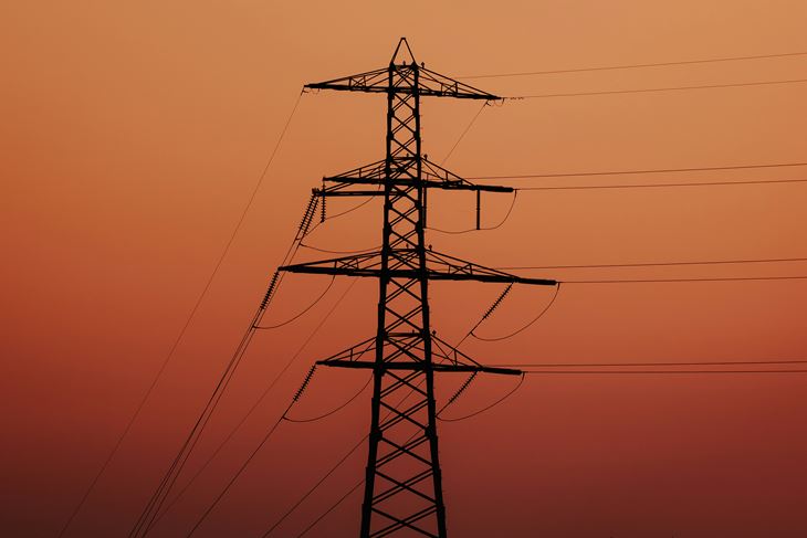 (Photo by Sies Kranen on Unsplash)