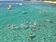 (PK Delfin Rovinj)