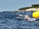 (PK Delfin Rovinj)