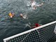 (Vaterpolo klub Poreč)