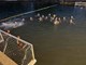 (Vaterpolo klub Poreč)