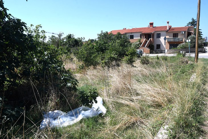 (Snimio Milivoj Mijošek)