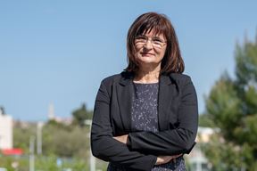 (Istarska županija)