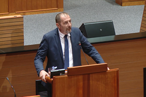 Dalibor Paus (Press IDS)