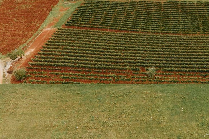 (Foto Općina Vižinada)