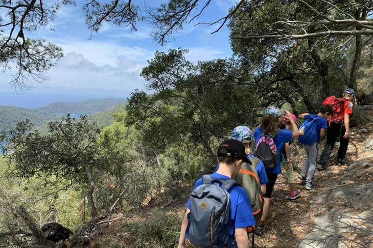 Ilustracija (NP Mljet)