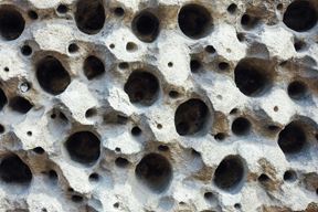 (Unsplash)