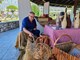 Barba Tone Ljubičić iz Letaja demonstrirao je vještinu pletenja košara (Snimio Branko Biočić)