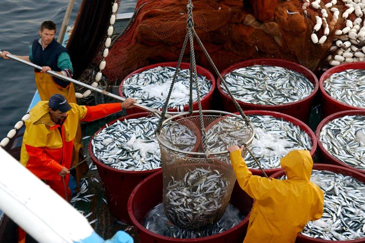 Ilustracija (Snimio Marko Gracin)