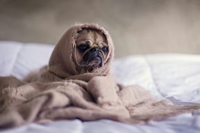 (Unsplash)