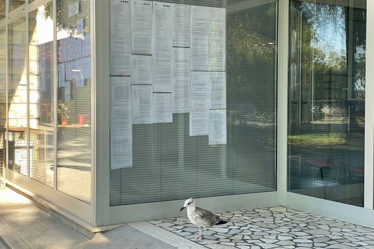 (Snimio Nikola Pušonjić)