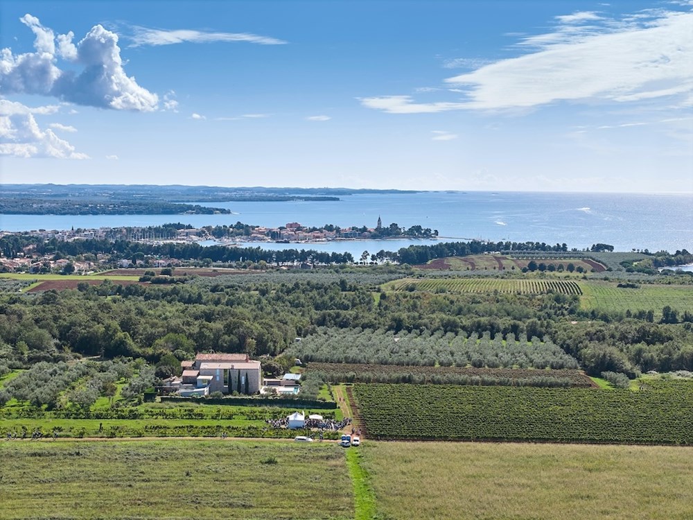 (Merlo De Graia)