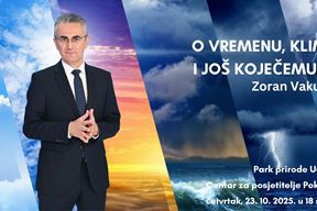 (Zoran Vakula)