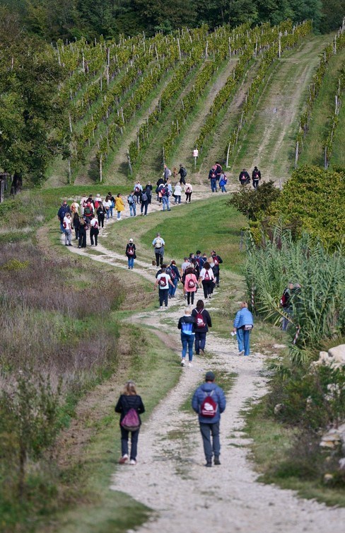 (Foto Merlo de Graia)