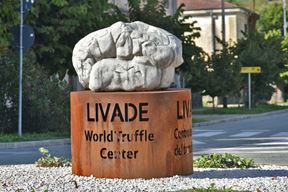 Livade, svjetski centar tartufa