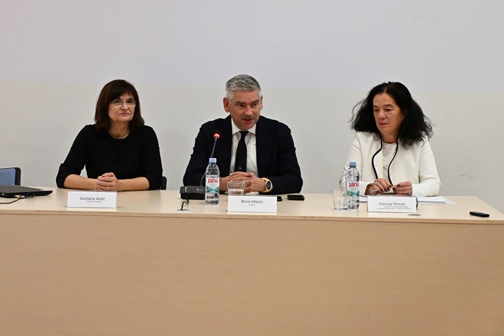 (Istarska županija)