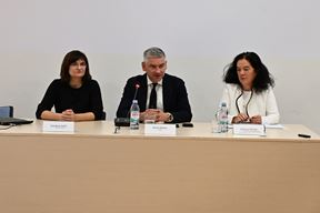 (Istarska županija)