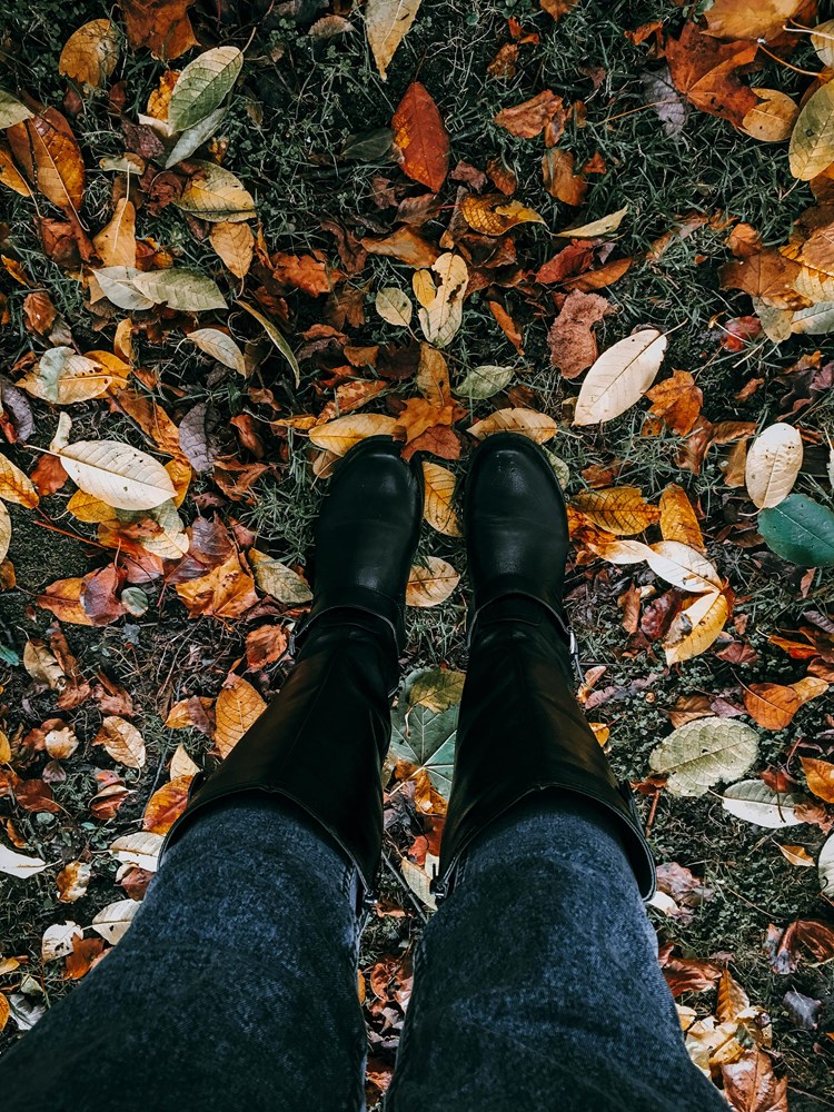 (Pexels)
