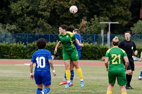 (NK Istra)