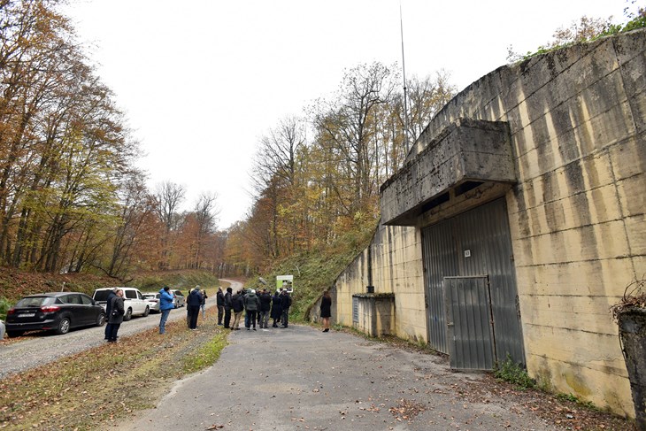(Snimio Davor Kovačević / Novosti)