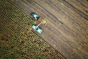 (Unsplash)