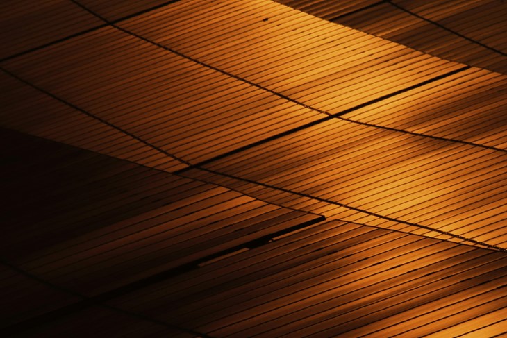 Ilustracija (Pexels)