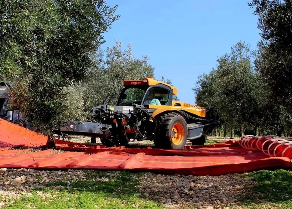 (Snimio Milivoj Mijošek)