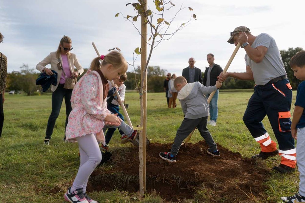(Foto: TZ Općine Vrsar)