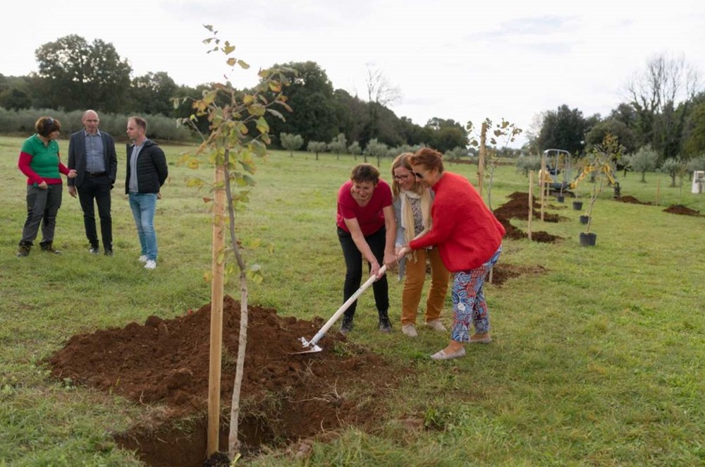 (Foto: TZ Općine Vrsar)