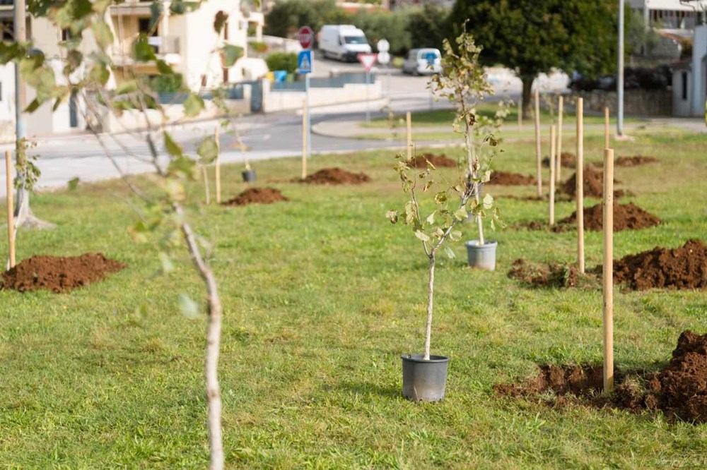 (Foto: TZ Općine Vrsar)