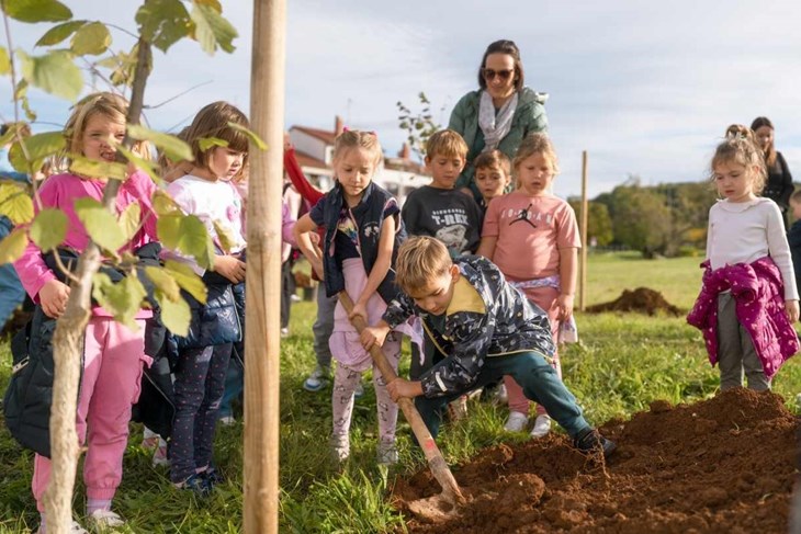 (Foto: TZ Općine Vrsar)