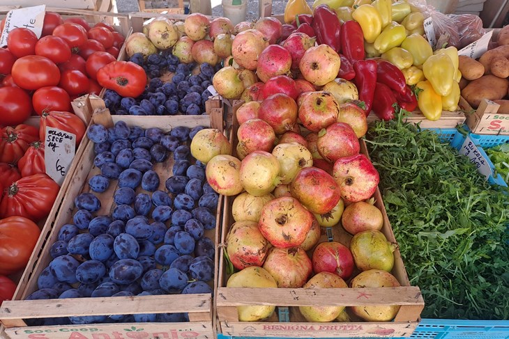 (Snimio Zoran Oljača)