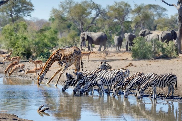 (Foto Naturetrek)