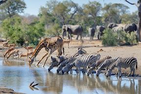 (Foto Naturetrek)
