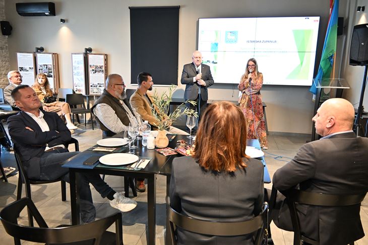 (Istarska županija)