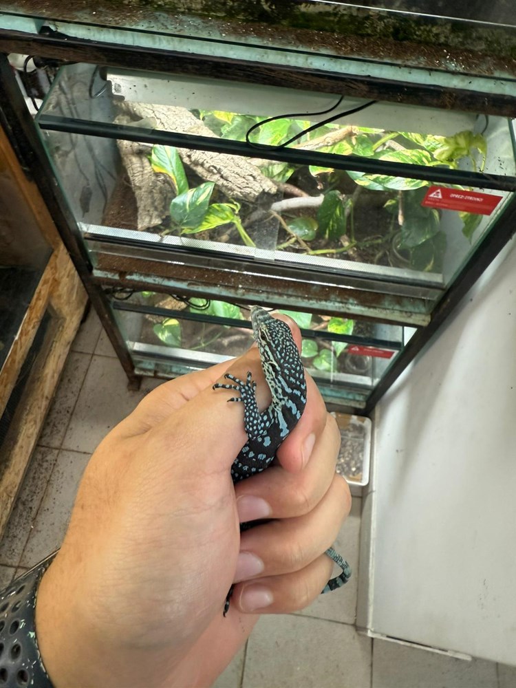 (Foto ZG Zoo)