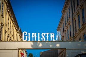 (Ginistra)