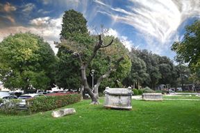 (Arhiva Glasa Istre)